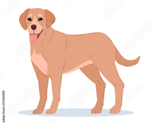 Cartoon labrador retriever. Labrador guide  rescue or companion dog. Cute dog breed  purebred domestic pet flat vector illustration