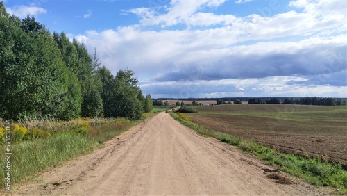 The country road runs along a deciduous forest and a harvested field. There is grass growing on the side of the road and Canadian goldenrod blooming. Farther away stands a village. Blue sky