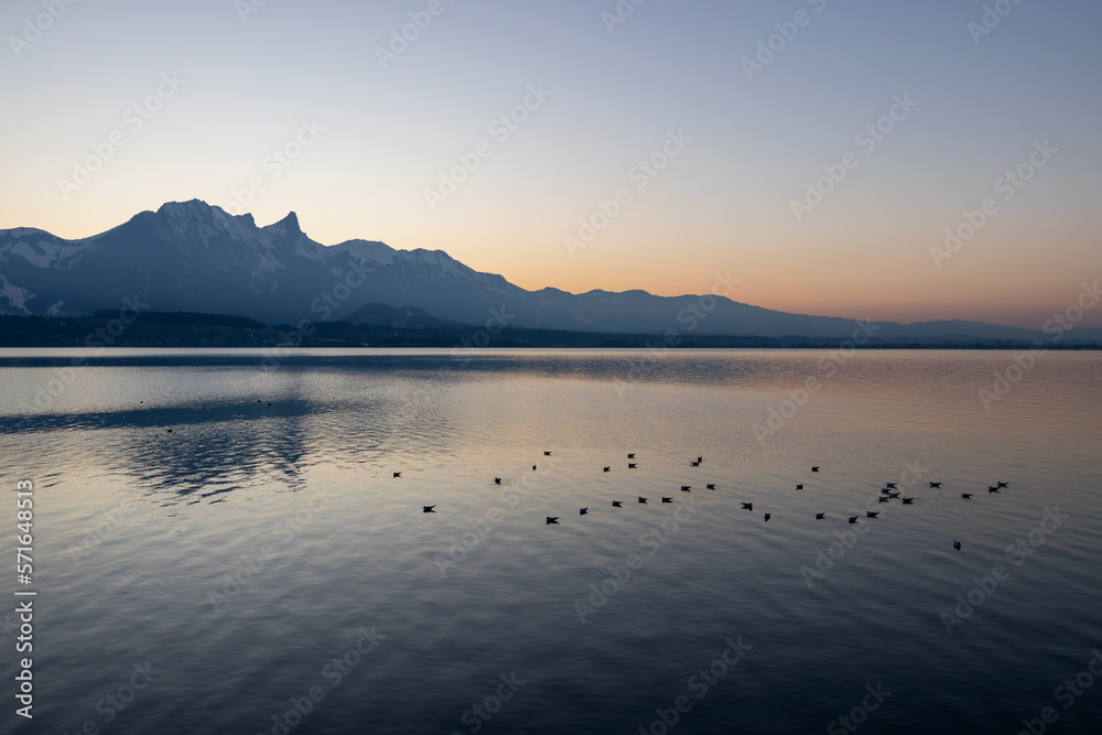 thunerse stockhorn abendrot möwen thunerse stockhorn abendrot möwen