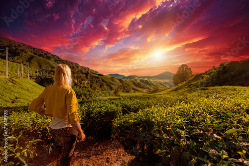 tourist girl astounded by the awe-inspiring sunset view of a tea plantation in Cameron Highlands, Malaysia. Where some of top-grade tea leaves are grown, with lush green hills and tea bushes landscape photo