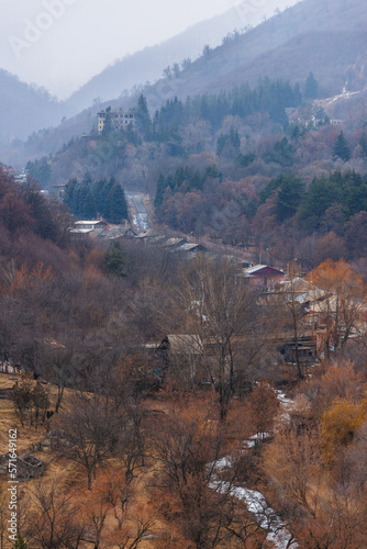 Foggy winter landscape with mountains, trees and buildings