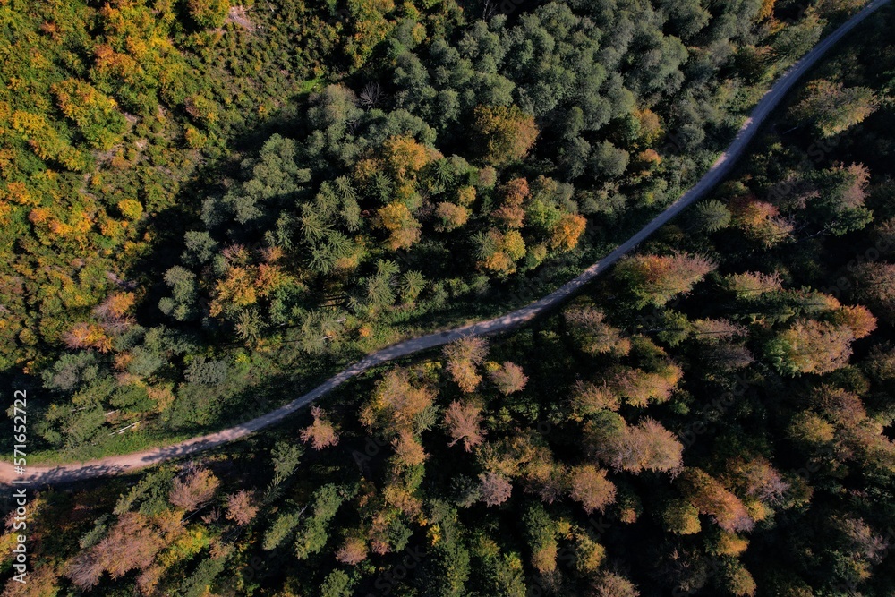 An overhead view of a trail path winding its way through a mountain forest on a sunny autumn day. The surrounding trees are ablaze with a range of warm hues, creating a picturesque scene An overhead view of a trail path winding its way through a mountain forest on a sunny autumn day. The surrounding trees are ablaze with a range of warm hues, creating a picturesque scene
