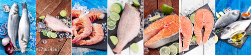 Set of different photos of raw fish. fish collage. banner. photo