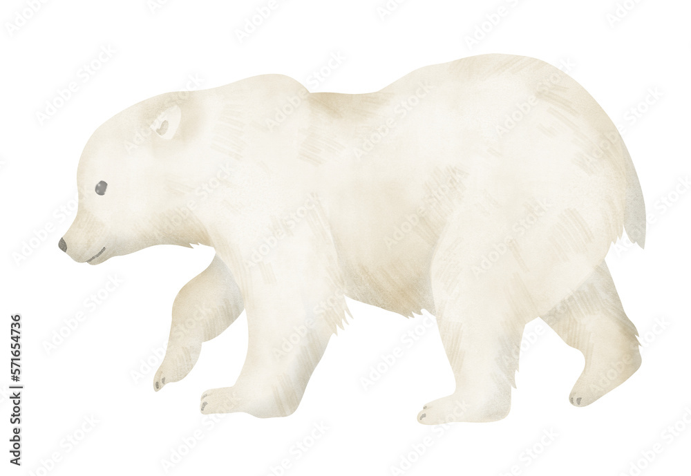 Fototapeta premium Little white Bear Cub on isolated background. Hand drawn watercolor illustration of baby animal for ecological logo or zoology drawings. Young northern mammal predator. Character in pastel colors