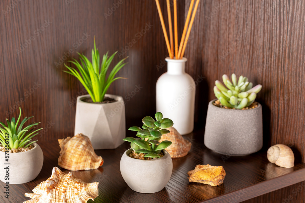 Shelf with flowers, shells and reed diffuser