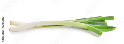 Green japanese bunching onion isolated on transparent background. PNG