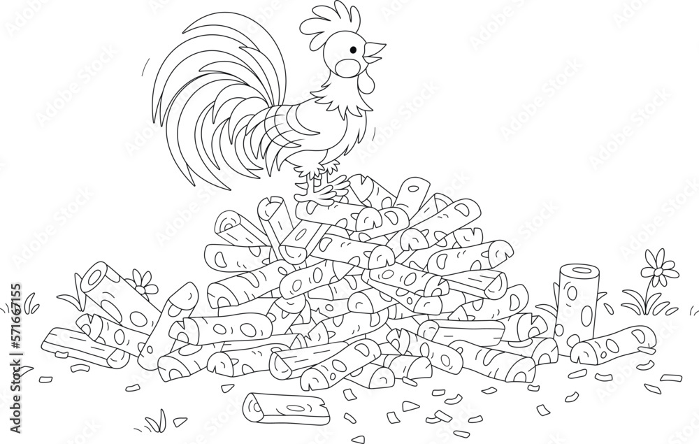 Rooster singing on a pile of chopped firewood for a stove of a village house, black and white outline vector cartoon illustration for a coloring book