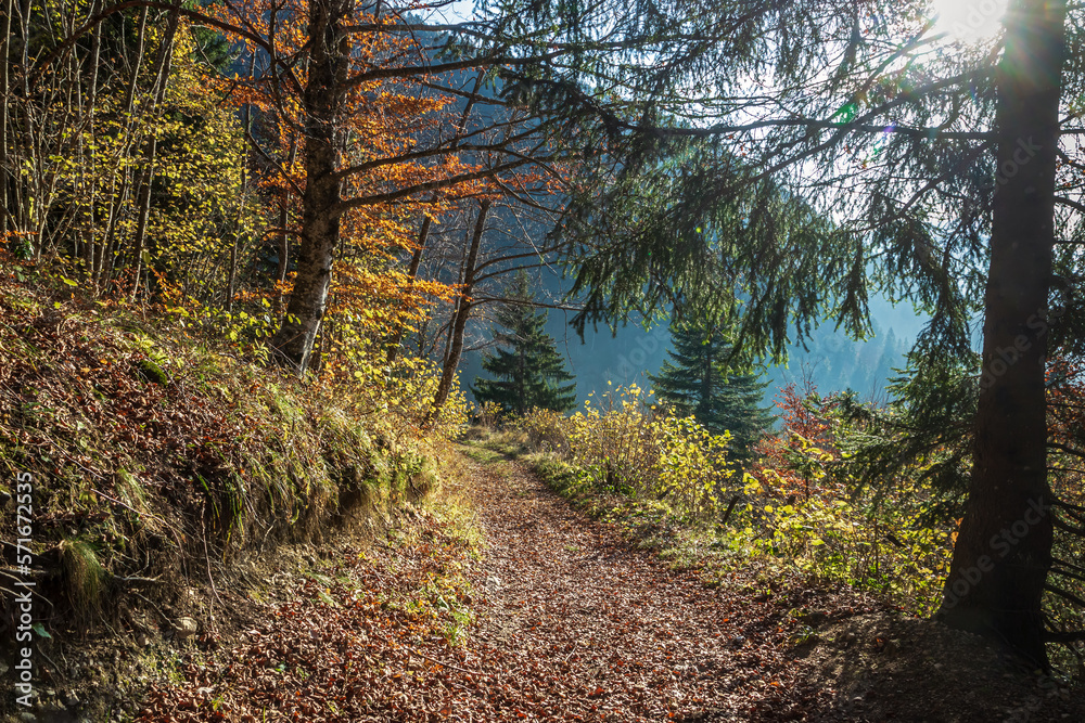 Fototapeta premium Paysage du massif des Bauges à l' automne , Alpes France
