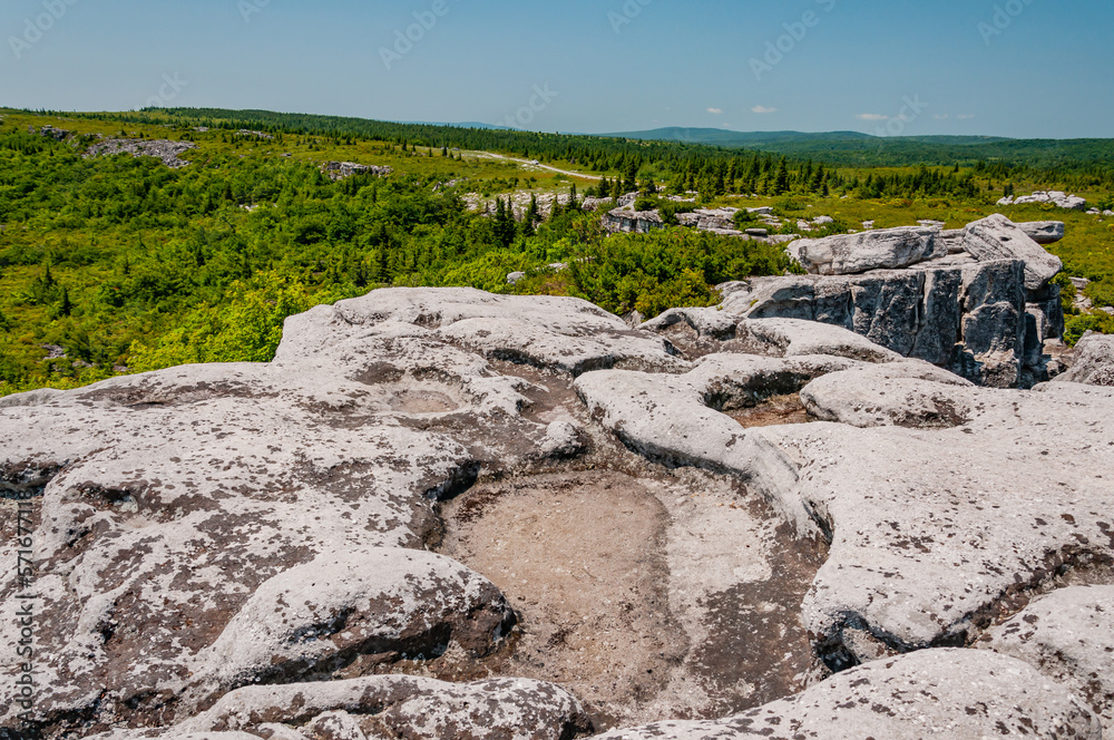 West Virginias Bear Rocks Preserve, USA, West Virginia