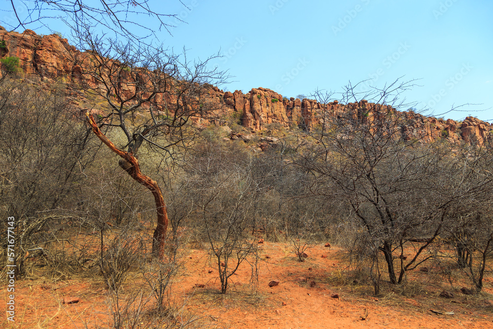 Fototapeta premium Andersson Trail in Waterberg Plateau National Park, Kalahari, Otjiwarongo, Namibia, Africa.