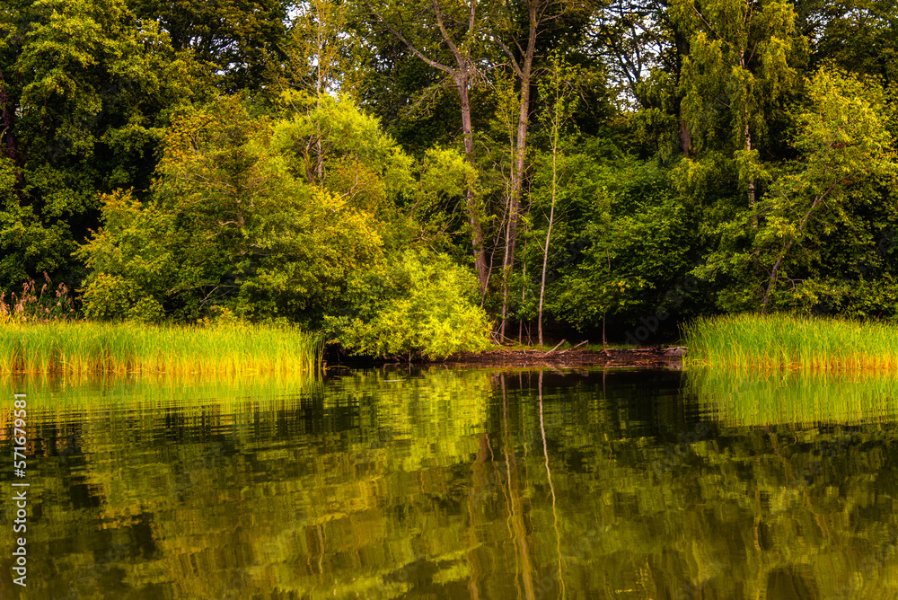 Djurgardsbrunnsviken canal bank with lush vegetation of trees and reeds in Djurgarden Island in Stockholm