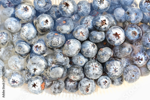 Fresh blueberry background. Texture blueberry berries close up. Blueberries in the form of a full-screen texture.