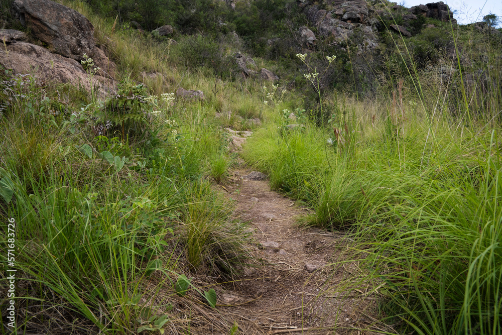 View of the empty hiking path across the green grassland and hills. View of the empty hiking path across the green grassland and hills.