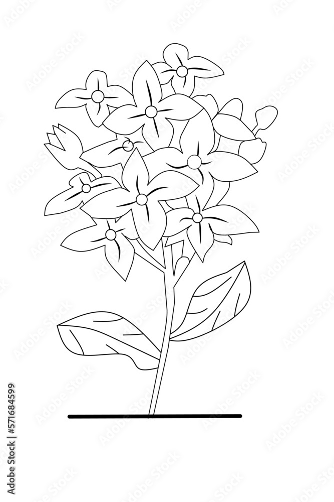 Line forming Ashoka flower with white background elements. Vector Illustration Line forming Ashoka flower with white background elements. Vector Illustration