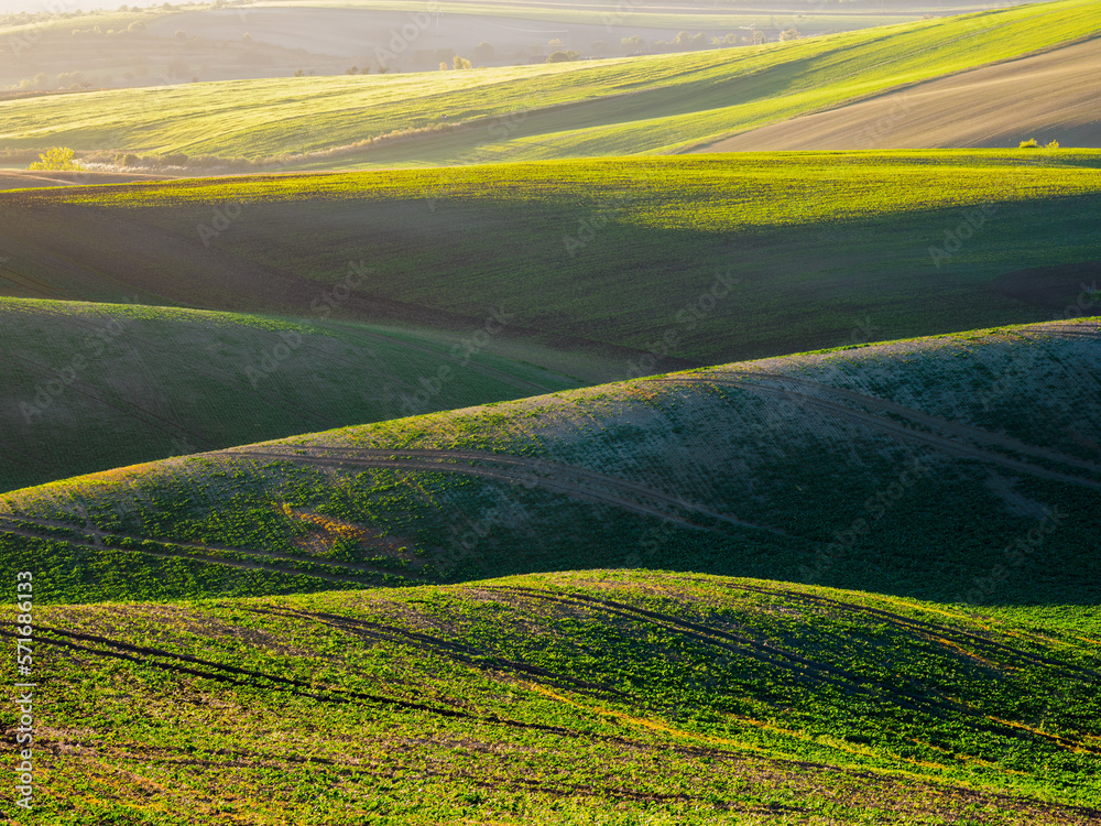 Obraz premium Spring farmland in the hills of Morvia in Czech Republic..