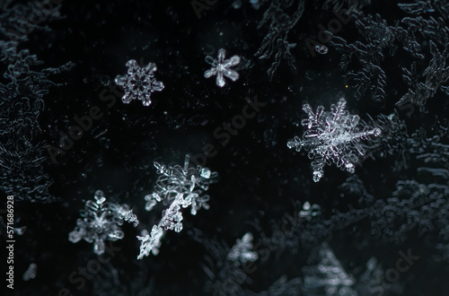 Details of snowflakes on a frozen car window. Snowflakes macro picture.