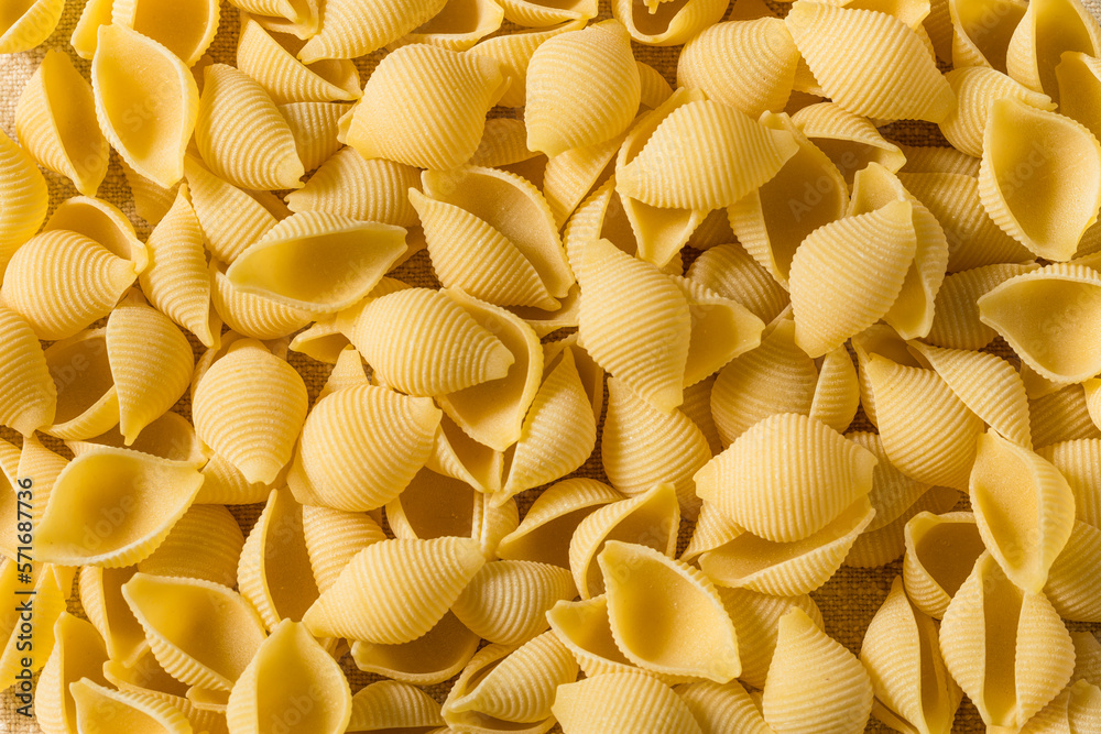 Homemade Dry Raw Conchiglie Pasta Homemade Dry Raw Conchiglie Pasta