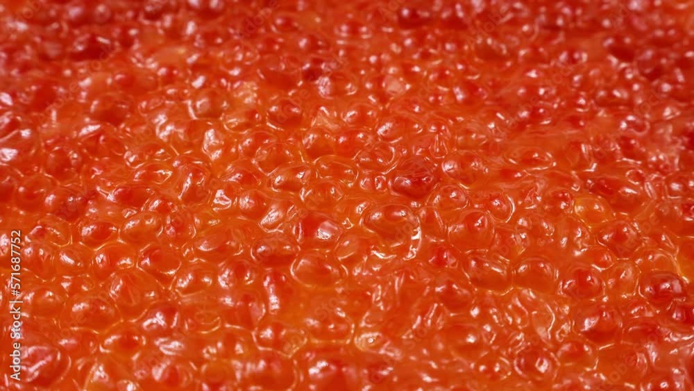 Bright red salmon fish caviar background circle rotation close up Bright red salmon fish caviar background circle rotation close up