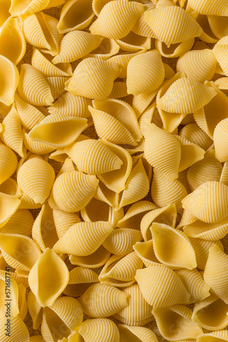 Homemade Dry Raw Conchiglie Pasta