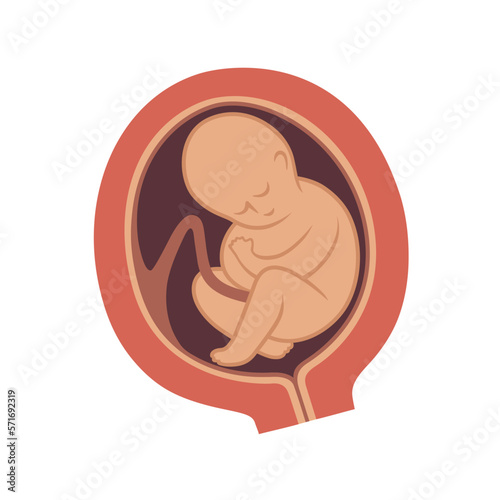Baby in mother's womb.
