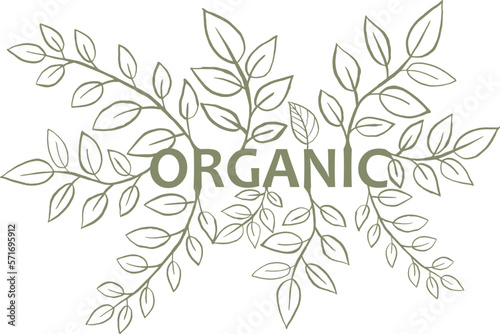 Organic product logo design vector template. leaf icon