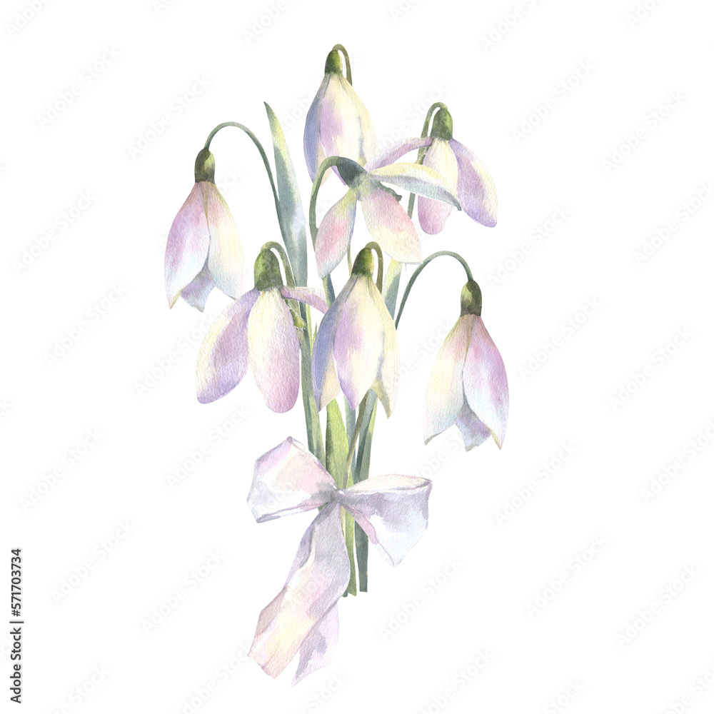 Obraz premium Watercolor spring flowers bouquet of snowdrops with bow. Hand painted botanical illustration.