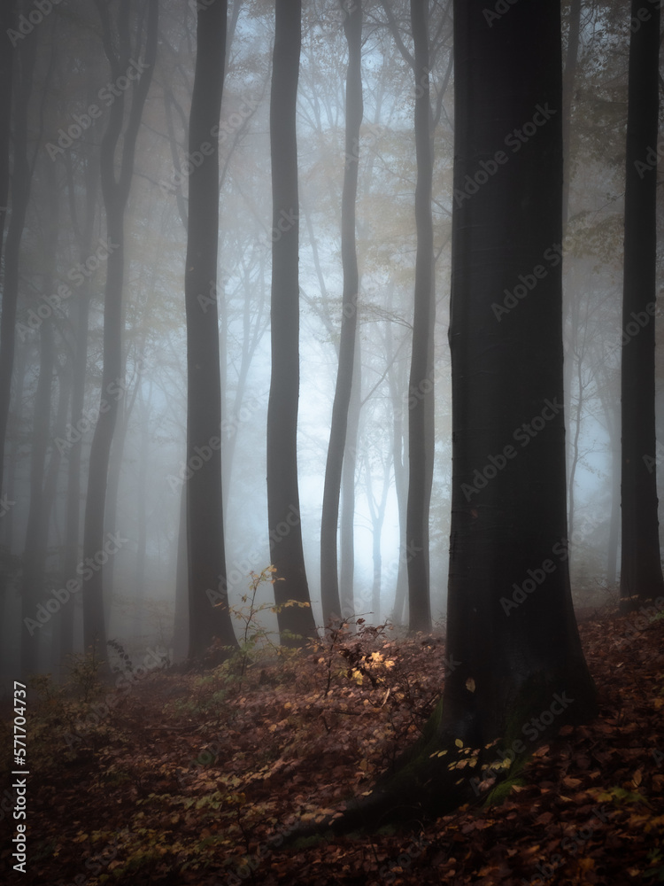 A far away light shining through an autumn forest in heavy fog