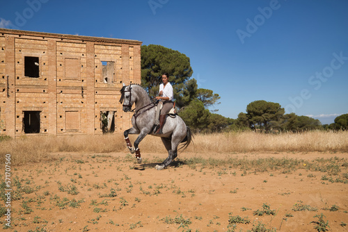 Beautiful young woman performing cowboy dressage exercises, riding her horse in the countryside on a sunny day. Concept horse riding, animals, dressage, horsewoman.