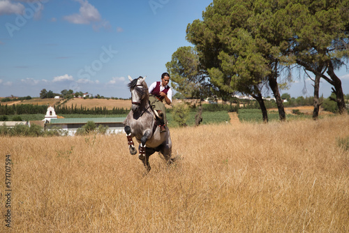Woman horsewoman, young and beautiful, performing cowgirl dressage exercises with her horse, in the countryside. Concept horse riding, animals, dressage, horsewoman, cowgirl.