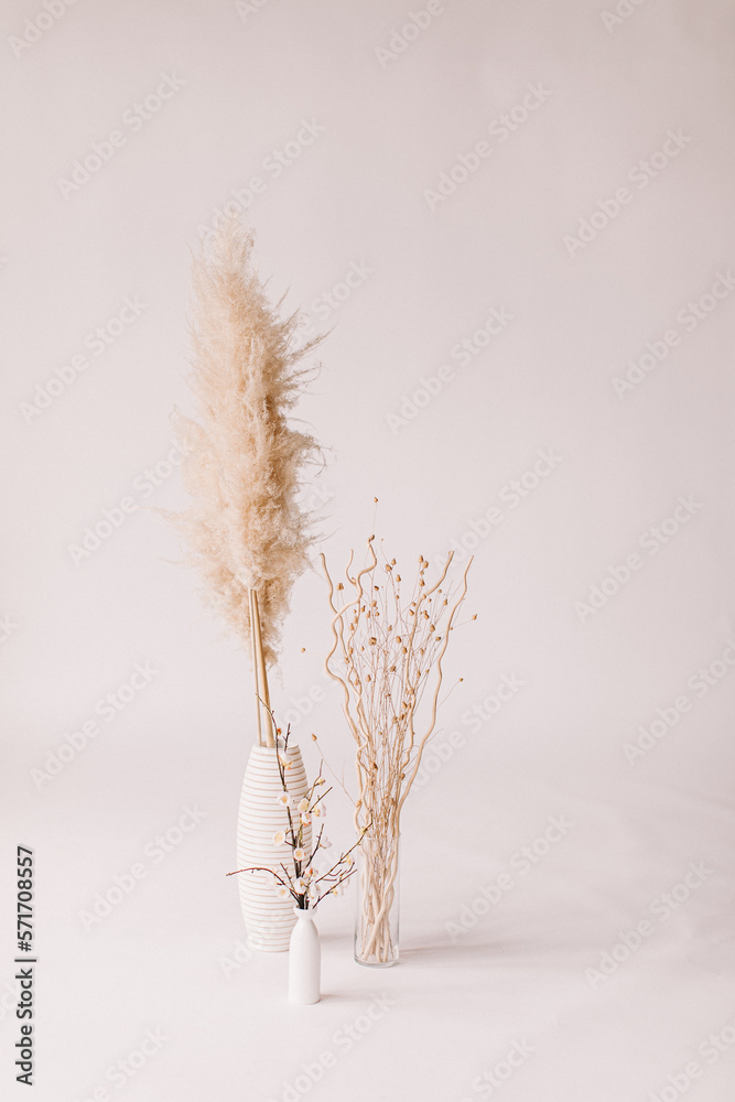 Obraz premium minimalist white vase and neutral plants