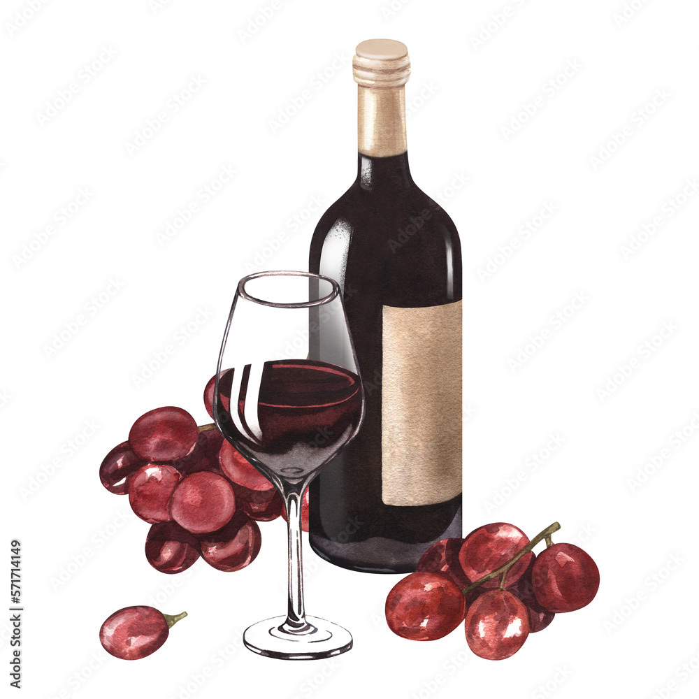 Watercolor illustration of the red wine bottle, wineglass and grape. Picture of a alcoholic drink isolated on the white background. Concept for wine list, label, banner, menu, brochure template.