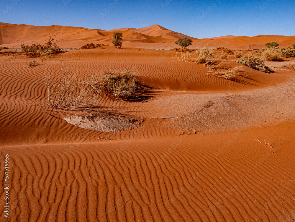 Namibie, le désert du Namib