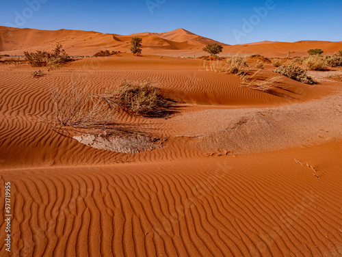 Namibie, le désert du Namib © Georges Bartoccioni