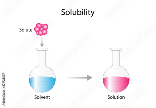 Solutions. Solubility homogeneous mixture. Solute, solvent and solution. Dissolving solids. Chemistry. Educational diagram. Conical flask, isolated on white background. Vector illustration.
