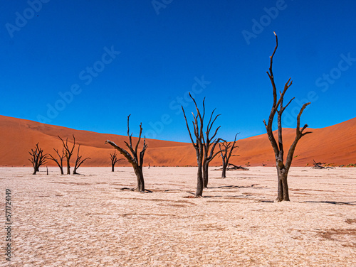 Namibie  Sossuvlei et Deadvlei