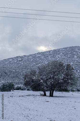 Scenic view of snow covered landscape in the Aures Mountains  Algeria