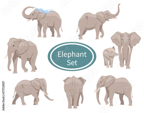 African elephants set. Collection of tropical animals. Mother and son, movement and action. Big character with trunk washing himself. Cartoon flat vector illustrations isolated on white background