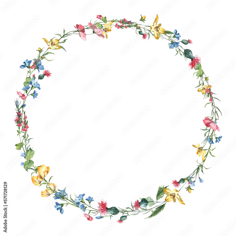 Colourful wild flowers wreath with copy space in the middle. Watercolor hand painted detailed botany flowers Colourful wild flowers wreath with copy space in the middle. Watercolor hand painted detailed botany flowers