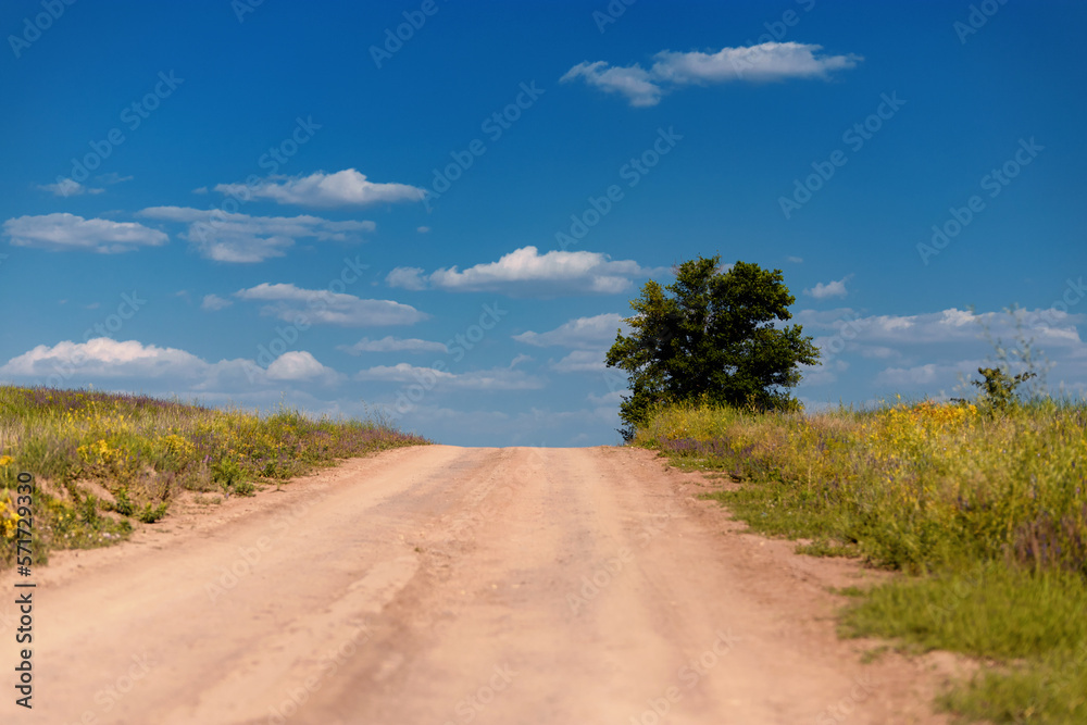 empty country road, between fields against blue sky and white clouds empty country road, between fields against blue sky and white clouds