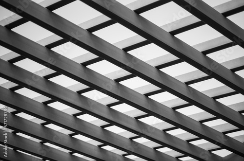 Ceiling with Rafters in Black and White.