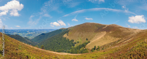 Summer mountain panorama  Ukraine  Carpathian Mountains .