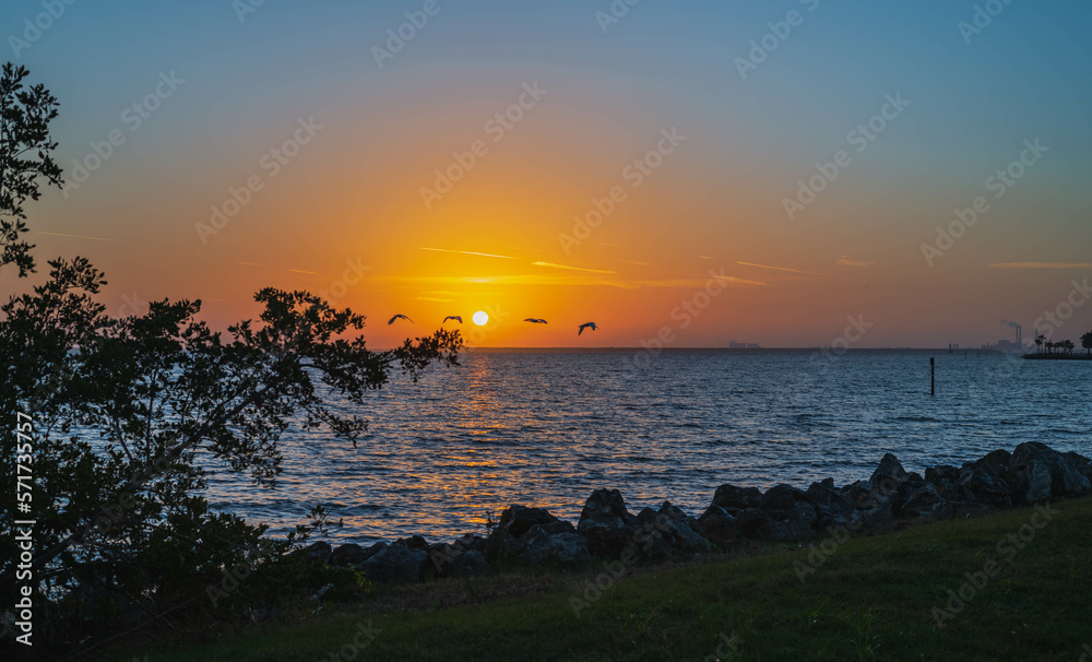 Flock of birds flying  over the sea at sunrise