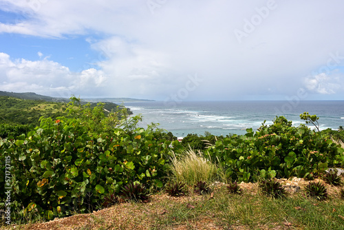 The East Coast of Barbados from St John