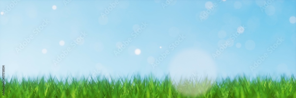 spring summer background with green grass and blue sky