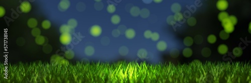 background with grass and fireflies