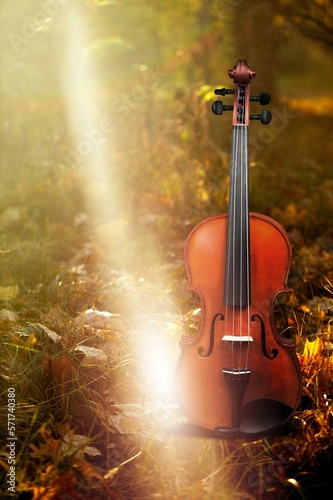 Violin musical instrument in autumn forest