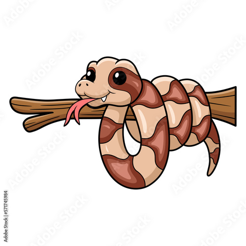 Cute copperhead snake cartoon on tree branch