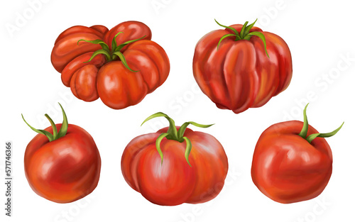 A set of red ripe fleshy tomatoes