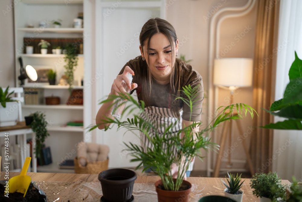 woman gardener florist take care grow cultivate plants at home woman gardener florist take care grow cultivate plants at home