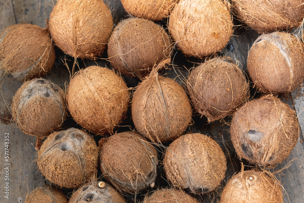 piece of coconut for made virgin oil cold pressed piece of coconut for made virgin oil cold pressed